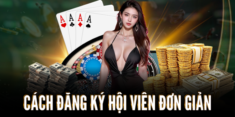Khám Phá K9CC - Giải Pháp Tối Ưu Hóa Dịch Vụ Chó Cưng